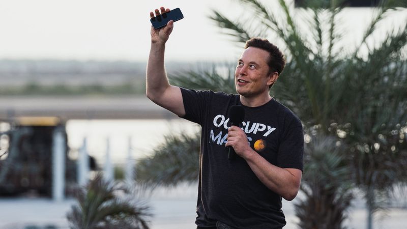 Musk wants people to stop mimicking his accounts on the social network.