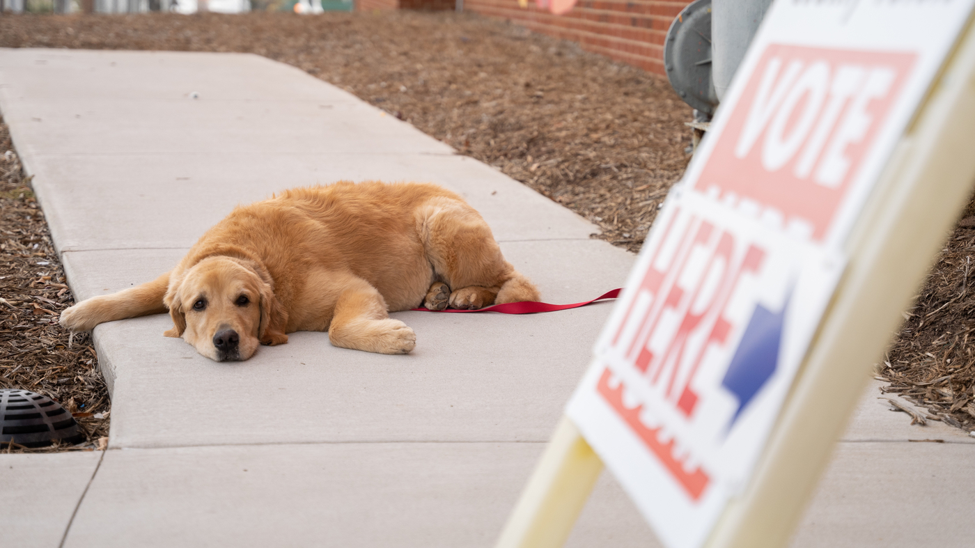 This election is likely to go on for a while.